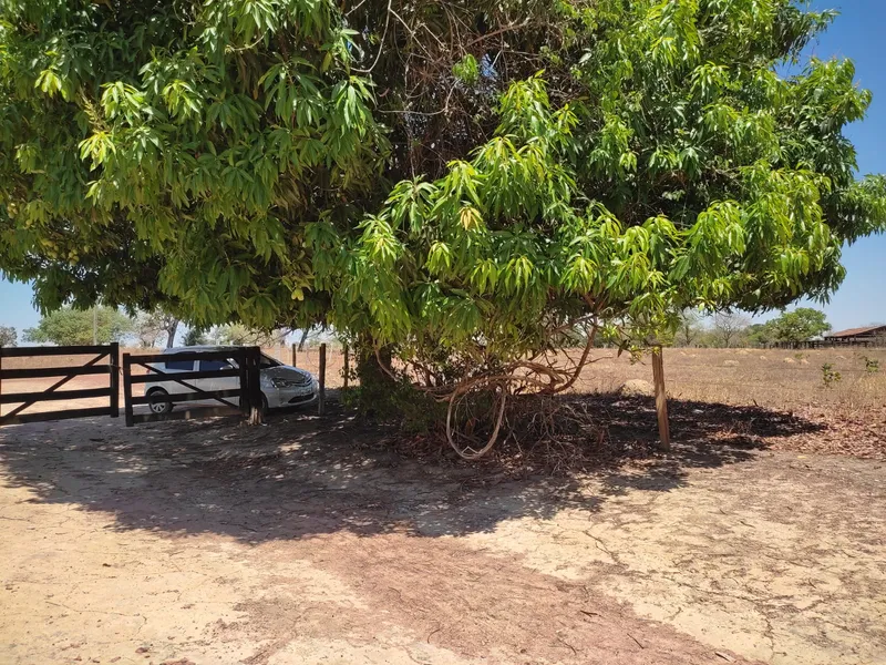 Fazenda em Sucupira/Tocantins — Ref 7XC5Q7 — Imagem 4