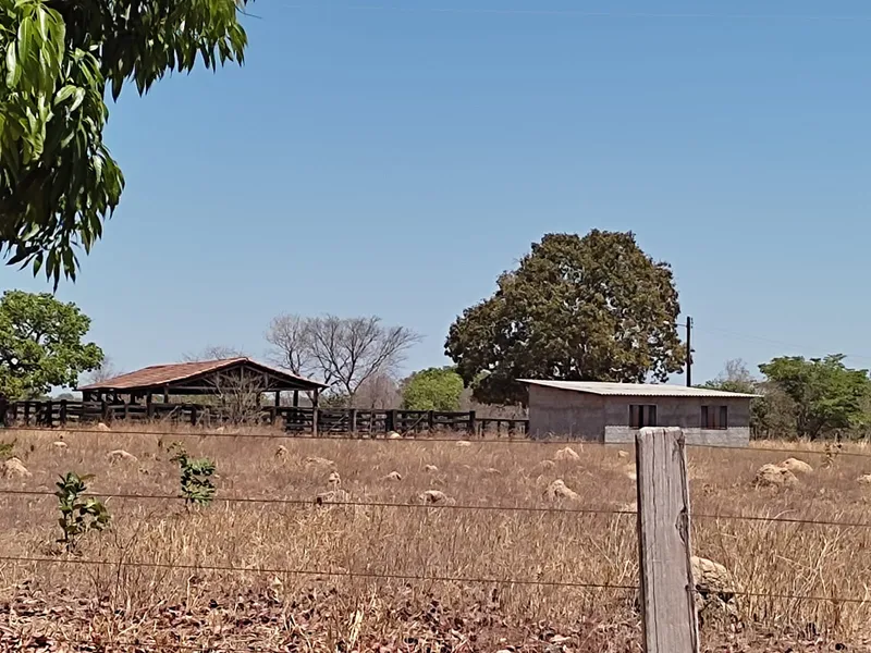 Fazenda em Sucupira/Tocantins — Ref 7XC5Q7 — Imagem 5