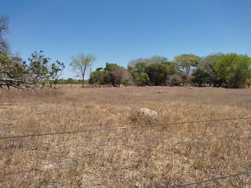 Fazenda em Sucupira/Tocantins — Ref 7XC5Q7 — Imagem 8