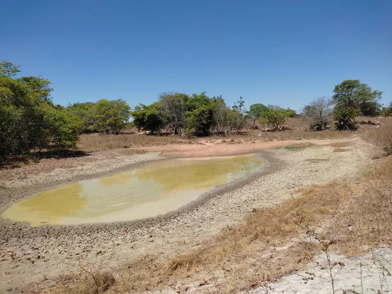 Fazenda em Sucupira/Tocantins — Ref 7XC5Q7 — Imagem 9