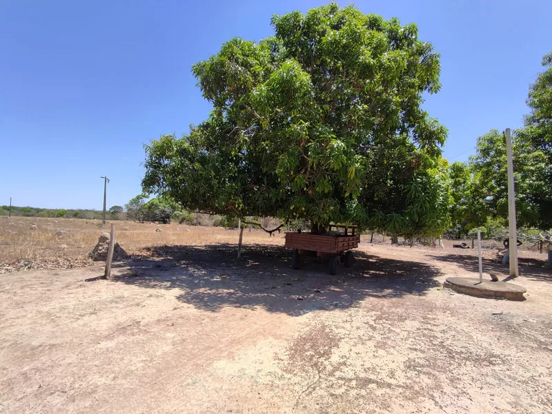 Fazenda em Sucupira/Tocantins — Ref 7XC5Q7 — Imagem 12