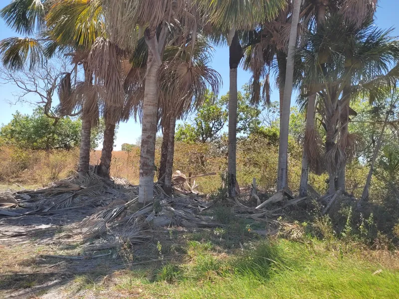 Fazenda em Sucupira/Tocantins — Ref H98QME — Imagem 16