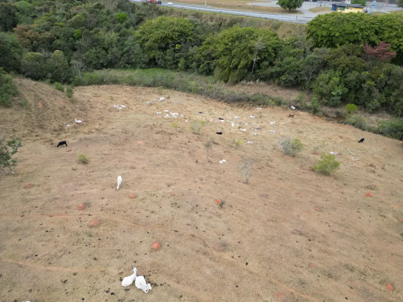 Fazenda em Três Corações/Minas Gerais — Ref 96DP07 — Imagem 12