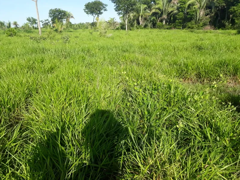 Fazenda em Santo Antônio de Leverger/Mato Grosso — Ref A7HNFV — Imagem 38