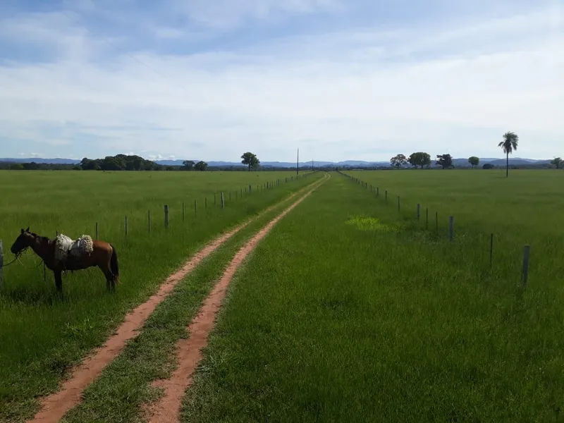 Fazenda em Santo Antônio de Leverger/Mato Grosso — Ref A7HNFV — Imagem 1