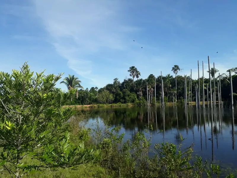 Fazenda em Santo Antônio de Leverger/Mato Grosso — Ref A7HNFV — Imagem 4