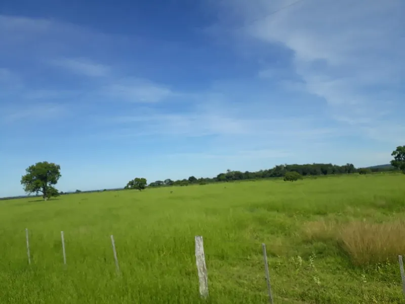 Fazenda em Santo Antônio de Leverger/Mato Grosso — Ref A7HNFV — Imagem 10