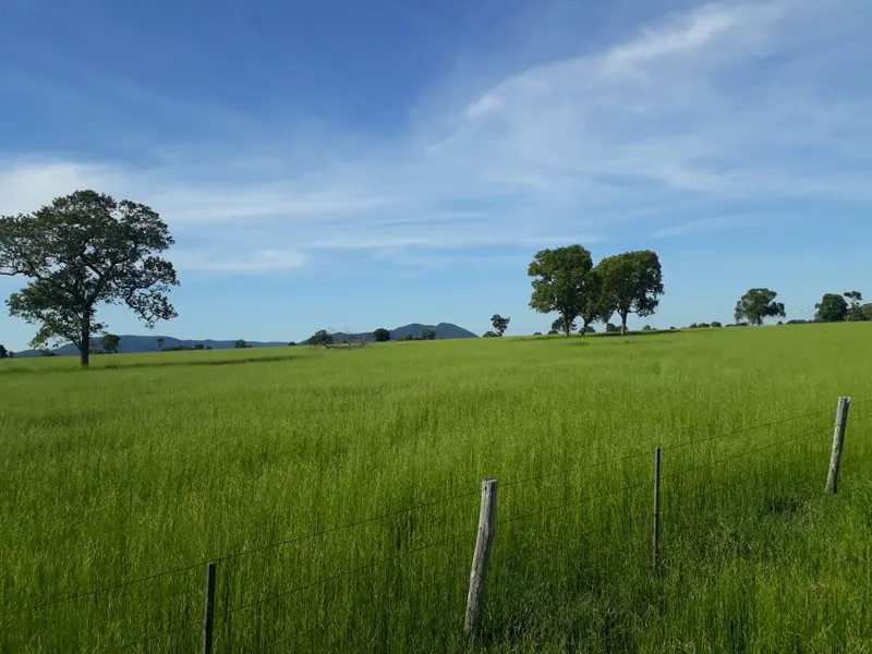 Fazenda em Santo Antônio de Leverger/Mato Grosso — Ref A7HNFV — Imagem 3