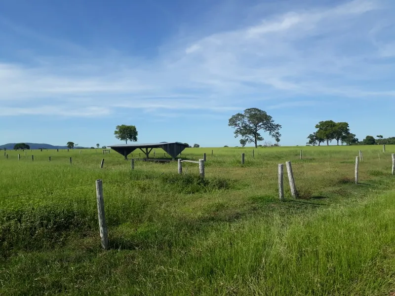 Fazenda em Santo Antônio de Leverger/Mato Grosso — Ref A7HNFV — Imagem 8