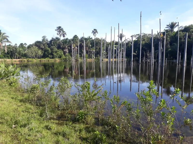 Fazenda em Santo Antônio de Leverger/Mato Grosso — Ref A7HNFV — Imagem 20