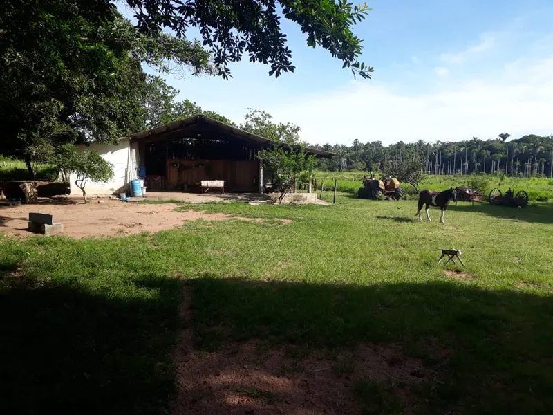 Fazenda em Santo Antônio de Leverger/Mato Grosso — Ref A7HNFV — Imagem 16