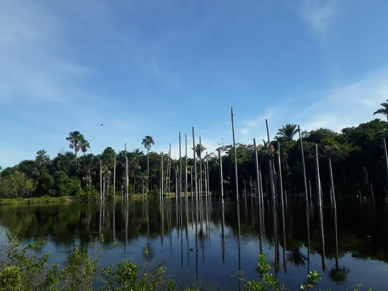 Fazenda em Santo Antônio de Leverger/Mato Grosso — Ref A7HNFV — Imagem 19