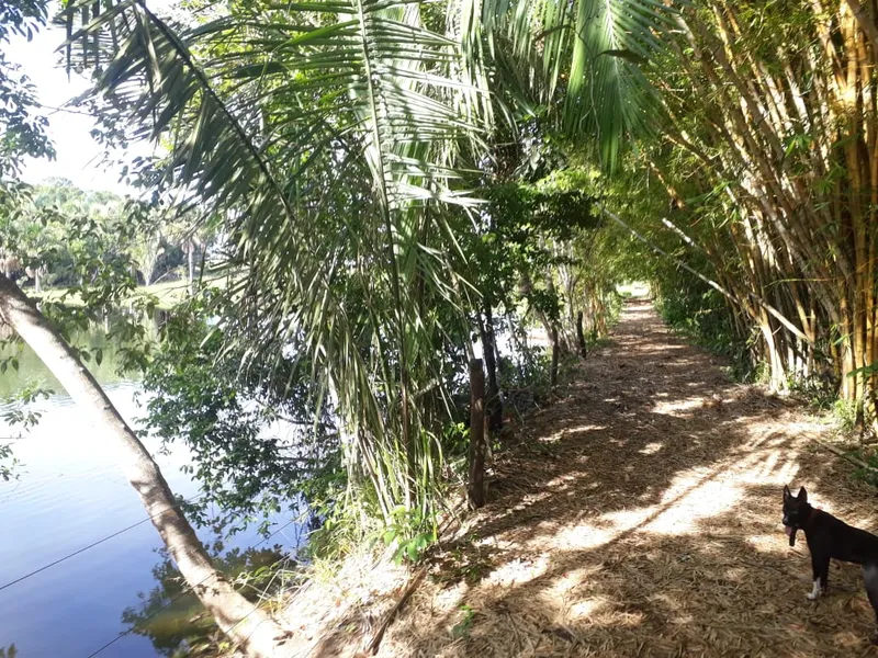 Fazenda em Santo Antônio de Leverger/Mato Grosso — Ref A7HNFV — Imagem 23