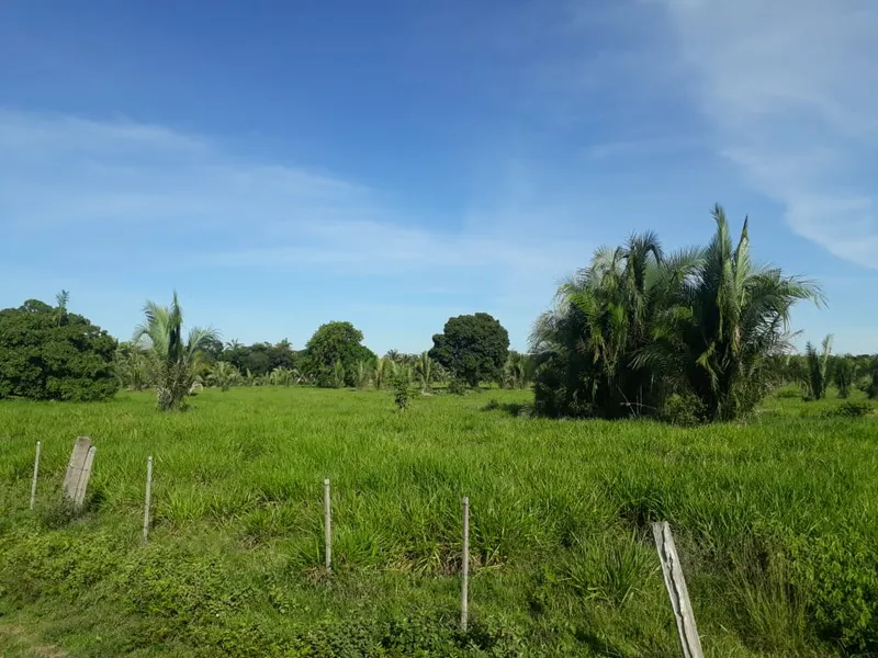 Fazenda em Santo Antônio de Leverger/Mato Grosso — Ref A7HNFV — Imagem 25