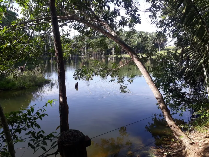 Fazenda em Santo Antônio de Leverger/Mato Grosso — Ref A7HNFV — Imagem 21
