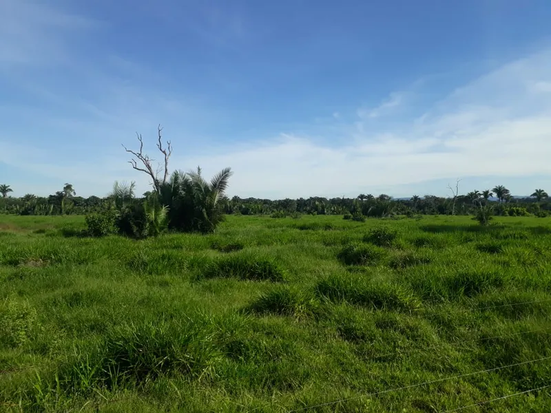 Fazenda em Santo Antônio de Leverger/Mato Grosso — Ref A7HNFV — Imagem 26