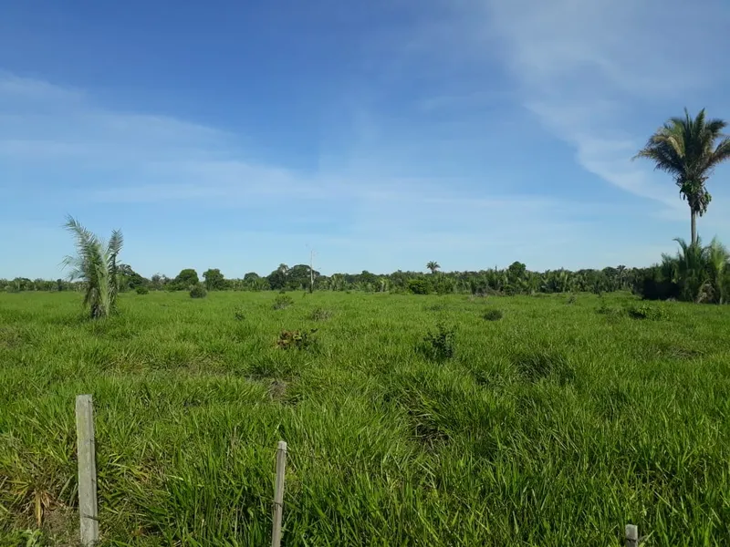 Fazenda em Santo Antônio de Leverger/Mato Grosso — Ref A7HNFV — Imagem 27