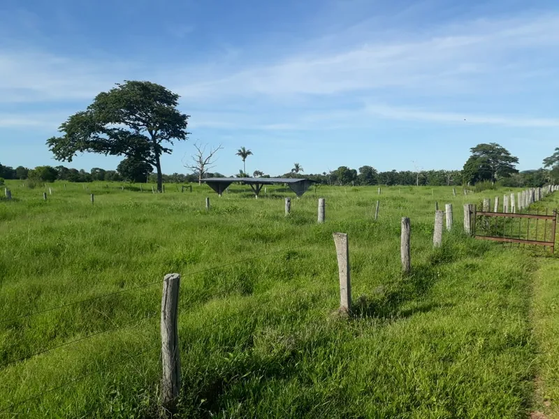 Fazenda em Santo Antônio de Leverger/Mato Grosso — Ref A7HNFV — Imagem 28