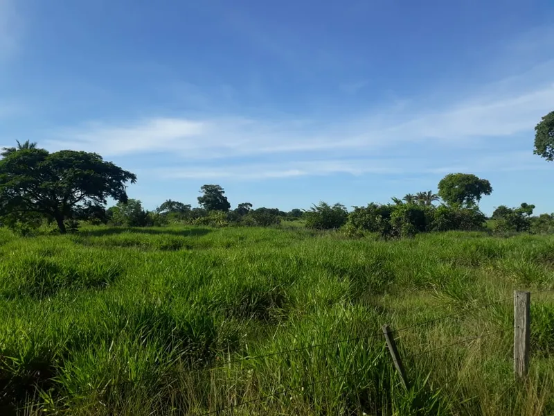 Fazenda em Santo Antônio de Leverger/Mato Grosso — Ref A7HNFV — Imagem 31