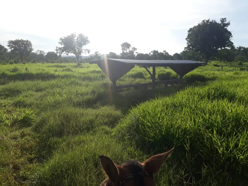 Fazenda em Santo Antônio de Leverger/Mato Grosso — Ref A7HNFV — Imagem 32