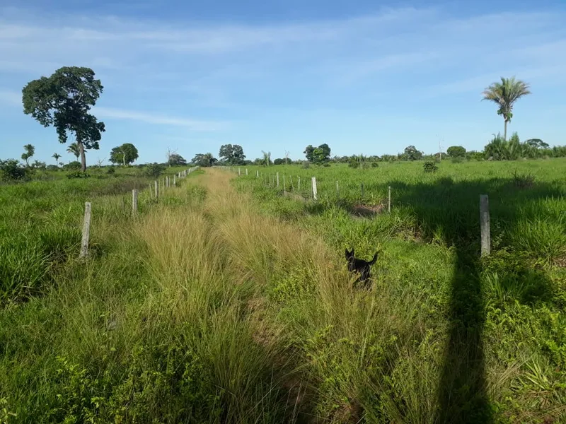 Fazenda em Santo Antônio de Leverger/Mato Grosso — Ref A7HNFV — Imagem 34