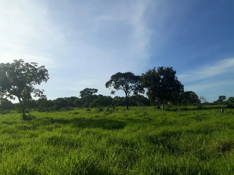 Fazenda em Santo Antônio de Leverger/Mato Grosso — Ref A7HNFV — Imagem 35