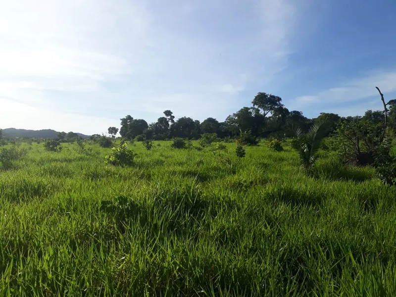Fazenda em Santo Antônio de Leverger/Mato Grosso — Ref A7HNFV — Imagem 36