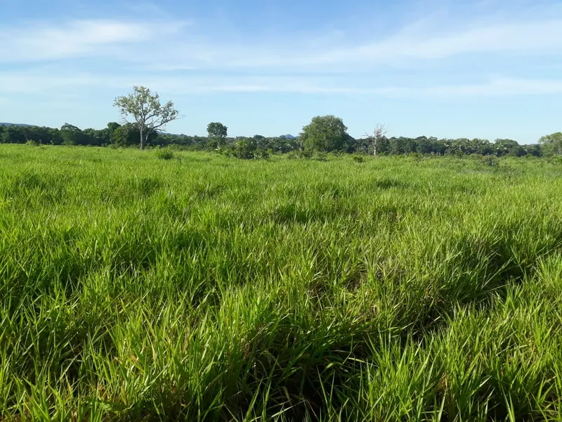 Fazenda em Santo Antônio de Leverger/Mato Grosso — Ref A7HNFV — Imagem 37