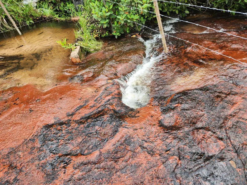 Fazenda em Poxoréu/Mato Grosso — Ref CSANIU — Imagem 9