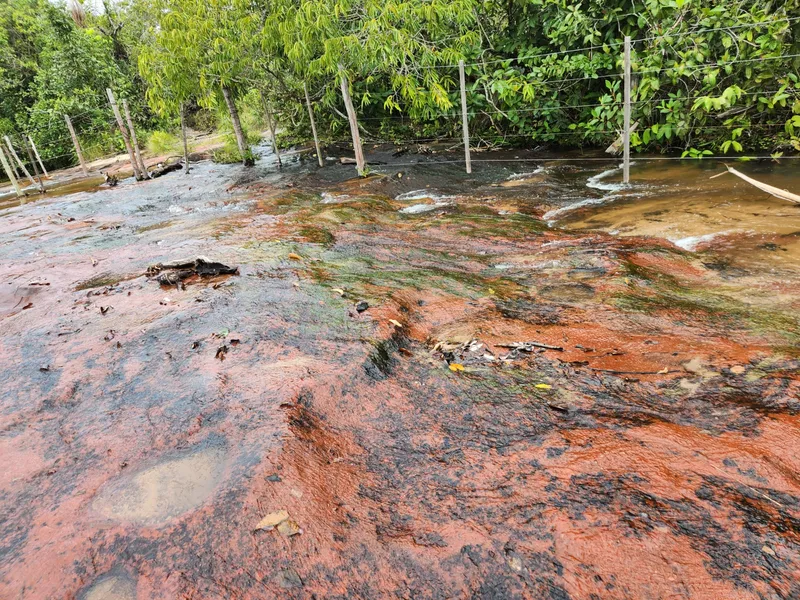 Fazenda em Poxoréu/Mato Grosso — Ref CSANIU — Imagem 10