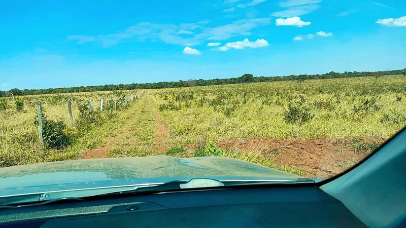 Fazenda em Campo Grande/Mato Grosso do Sul — Ref QEXW06 — Imagem 13