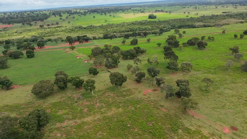 Fazenda em Nioaque/Mato Grosso do Sul — Ref TOVY7D — Imagem 4