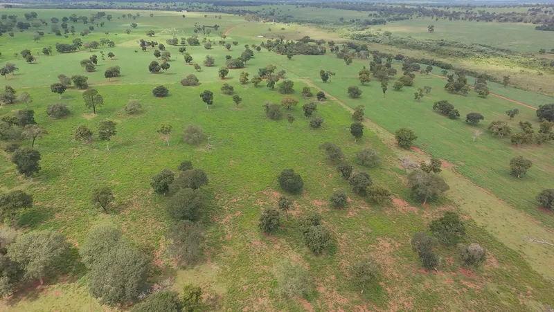 Fazenda em Nioaque/Mato Grosso do Sul — Ref TOVY7D — Imagem 5