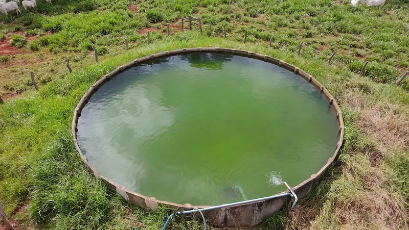 Fazenda em Nioaque/Mato Grosso do Sul — Ref TOVY7D — Imagem 8