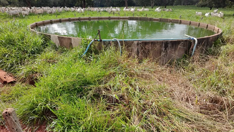 Fazenda em Nioaque/Mato Grosso do Sul — Ref TOVY7D — Imagem 9