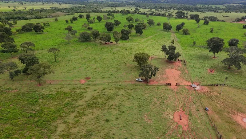 Fazenda em Nioaque/Mato Grosso do Sul — Ref TOVY7D — Imagem 11
