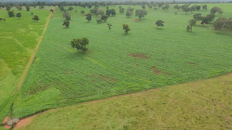 Fazenda em Nioaque/Mato Grosso do Sul — Ref TOVY7D — Imagem 14