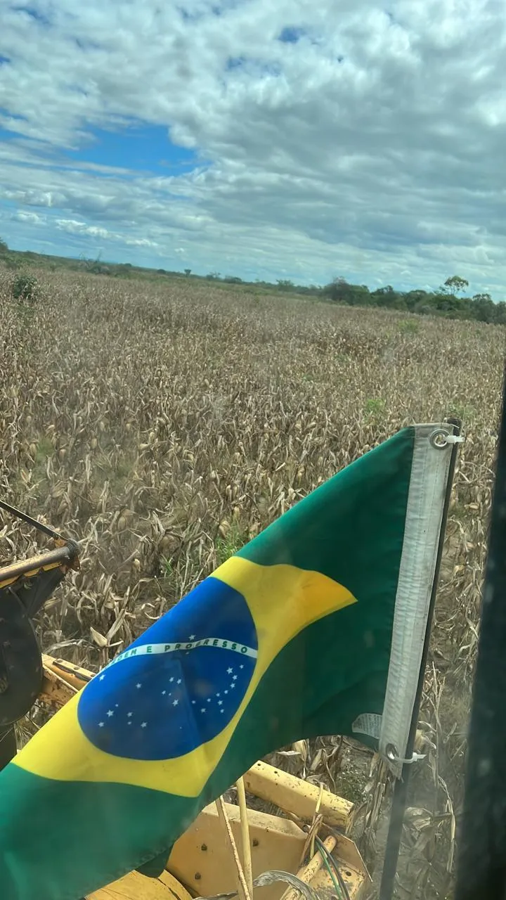 Fazenda em Aroazes/Piauí — Ref IXAT50 — Imagem 7