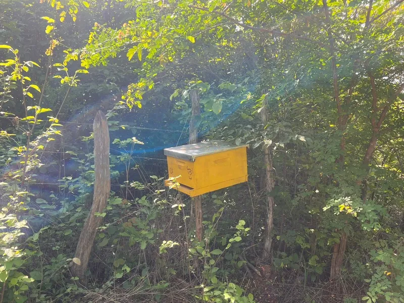 Fazenda em Aroazes/Piauí — Ref IXAT50 — Imagem 10