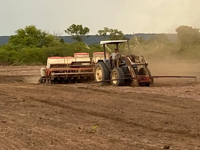 Fazenda em Aroazes/Piauí — Ref IXAT50 — Imagem 16