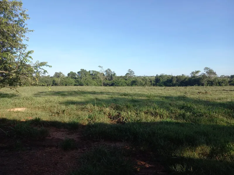 Fazenda em Santa Maria das Barreiras/Pará — Ref U4Y040 — Imagem 4