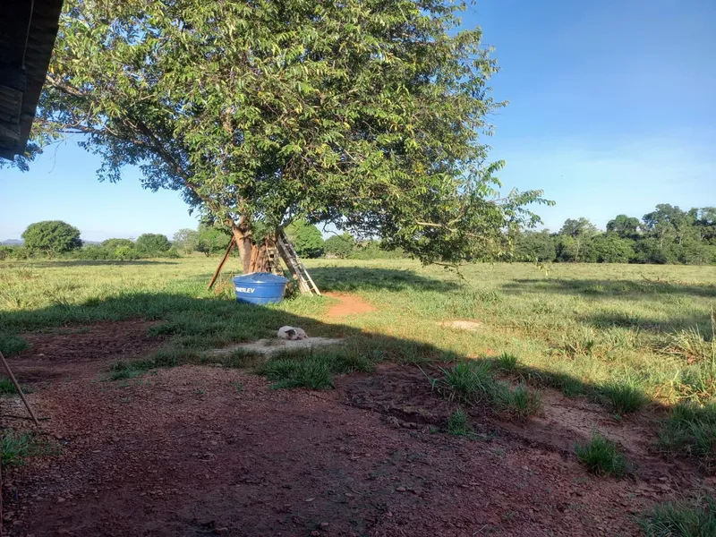 Fazenda em Santa Maria das Barreiras/Pará — Ref U4Y040 — Imagem 3