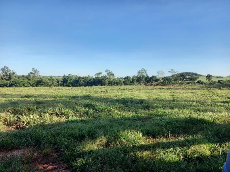 Fazenda em Santa Maria das Barreiras/Pará — Ref U4Y040 — Imagem 5
