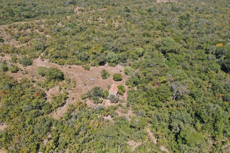 Fazenda em Taipas do Tocantins/Tocantins — Ref R1KI4G — Imagem 10