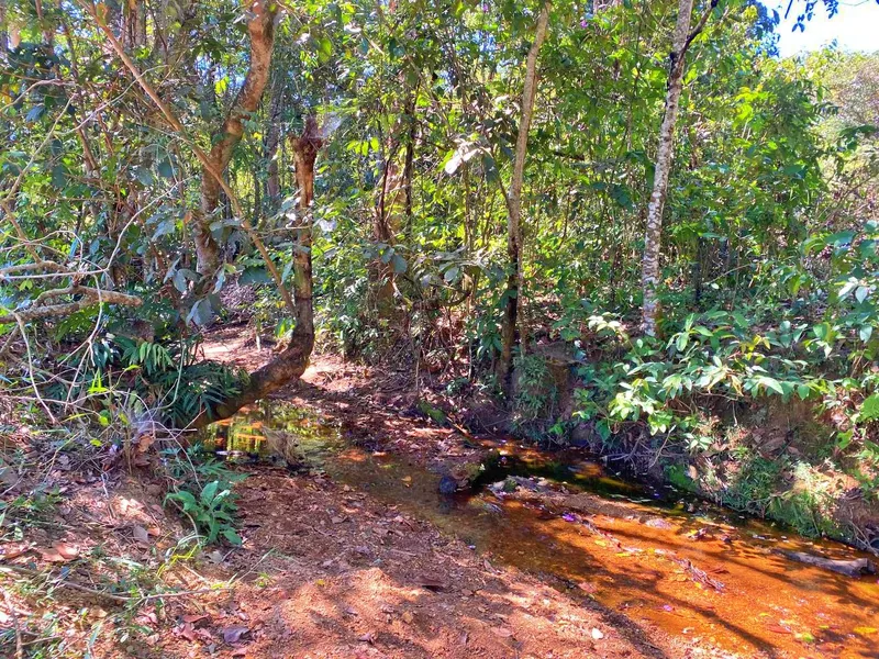 Fazenda em Santo Antônio do Descoberto/Goiás — Ref G9K51S — Imagem 16