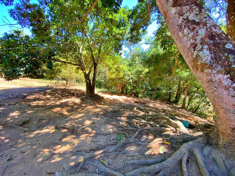 Fazenda em Santo Antônio do Descoberto/Goiás — Ref G9K51S — Imagem 33