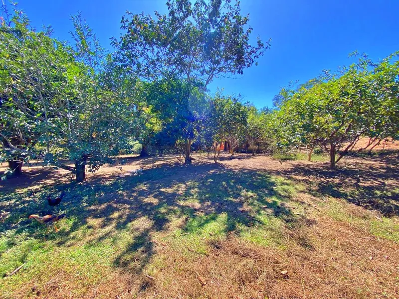 Fazenda em Santo Antônio do Descoberto/Goiás — Ref G9K51S — Imagem 13