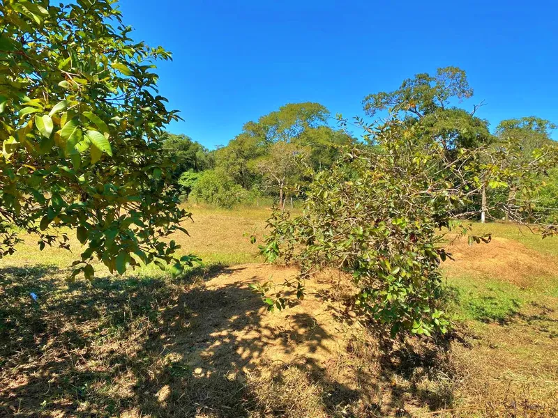 Fazenda em Santo Antônio do Descoberto/Goiás — Ref G9K51S — Imagem 15