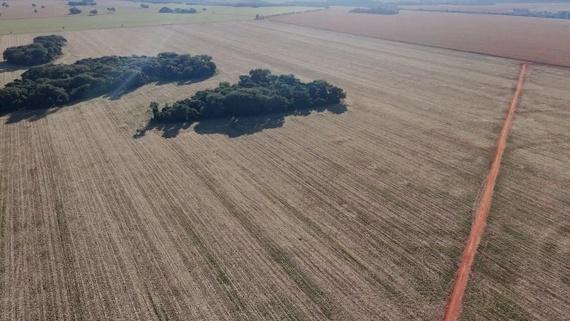 Fazenda em Amambai/Mato Grosso do Sul — Ref CX47GM — Imagem 4