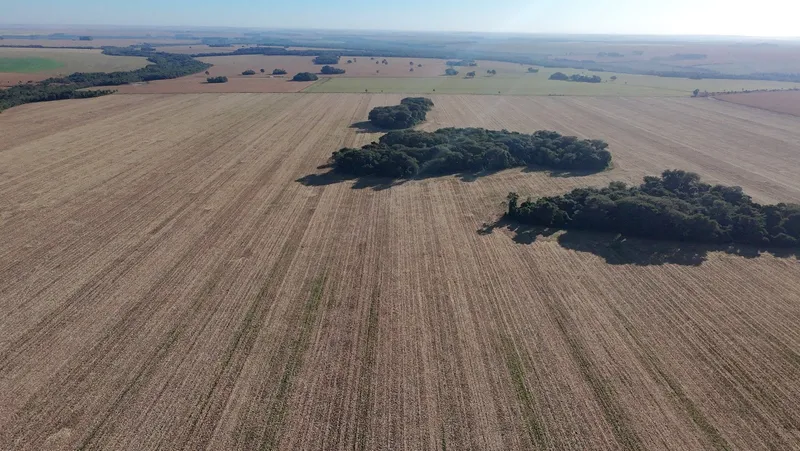Fazenda em Amambai/Mato Grosso do Sul — Ref CX47GM — Imagem 5
